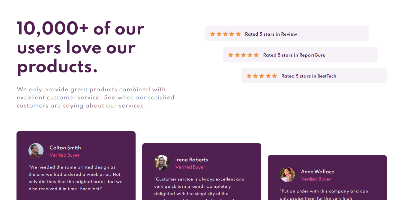 Product Review Page Şablon